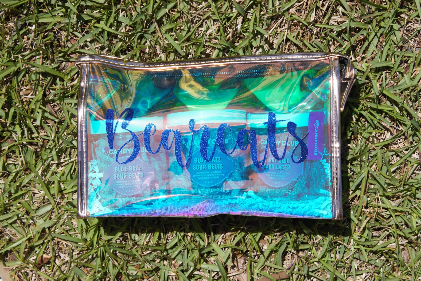 Personalized Iridescent Cosmetic Bag
